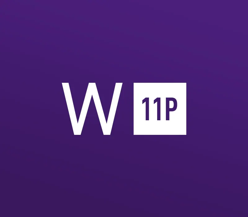 Windows 11 Professional OEM Key